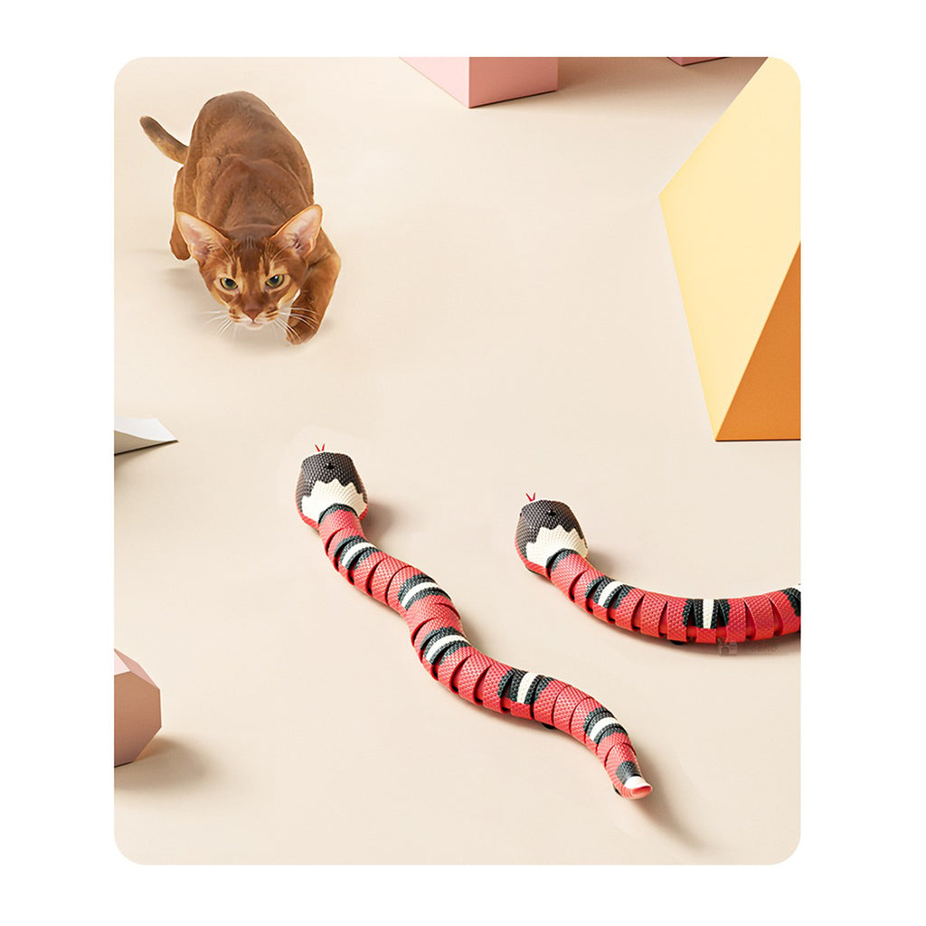 Chat qui regarde le jouet serpent mobile
